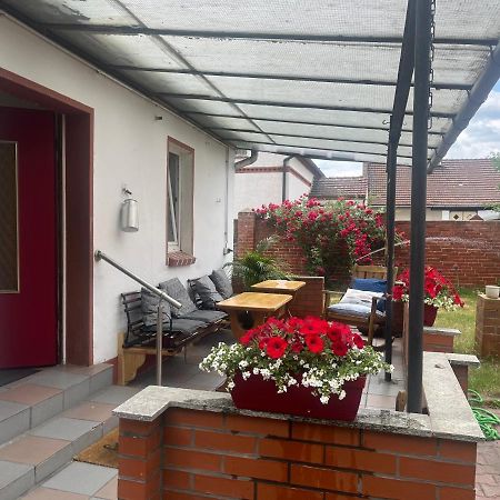 Kahnstuebchen Mit Neuem Innenhof Garten Lubben Bagian luar foto