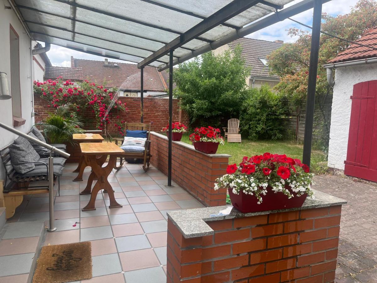 Kahnstuebchen Mit Neuem Innenhof Garten Lubben Bagian luar foto